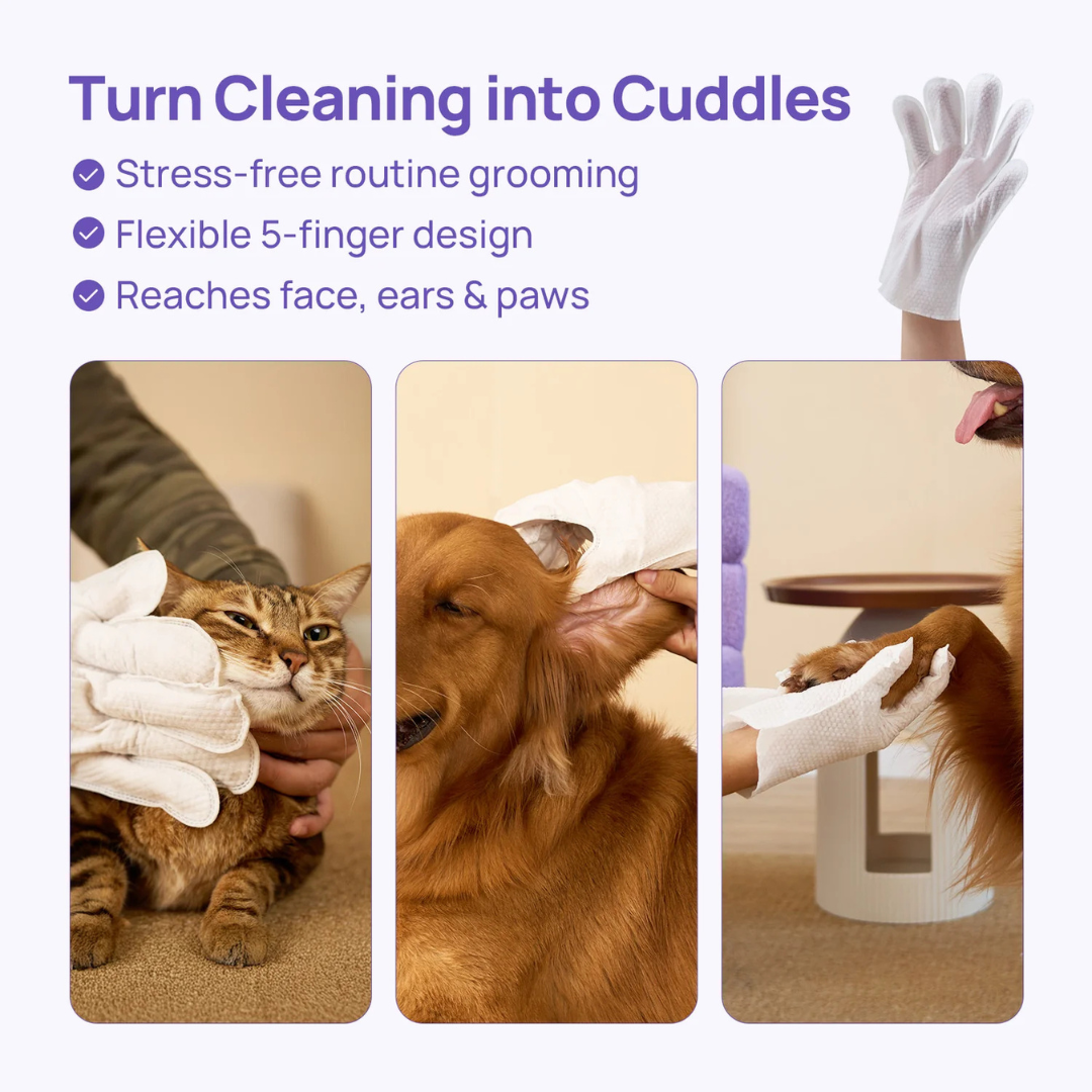 Disposable Dog Grooming Wipes