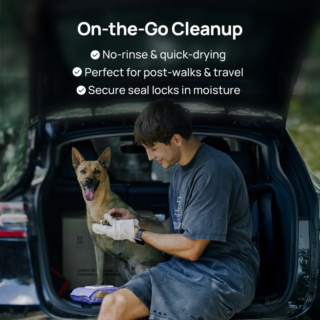 Disposable Dog Grooming Wipes