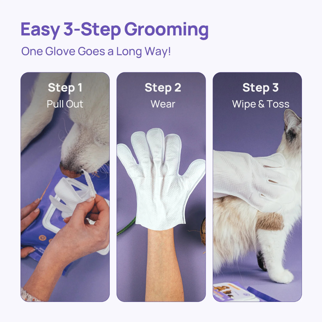 Disposable Dog Grooming Wipes